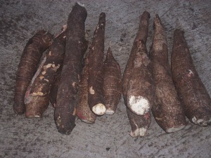 Ketela ( TELO : Bahasa Jawa )  Makanan Multi Macam  Telo1